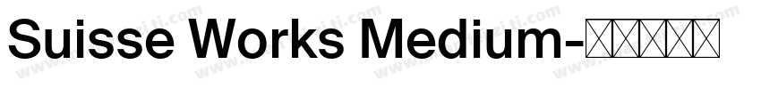Suisse Works Medium字体转换